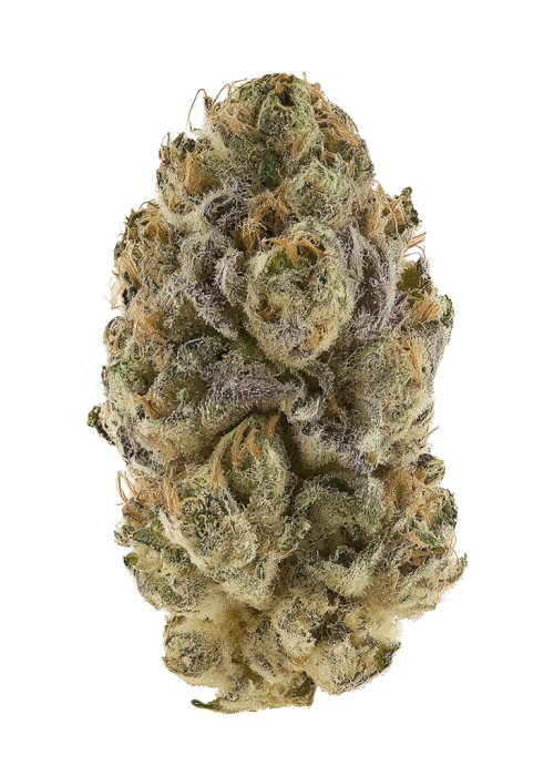 Tangerine Haze