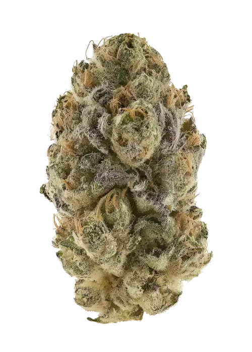 Tangerine Haze