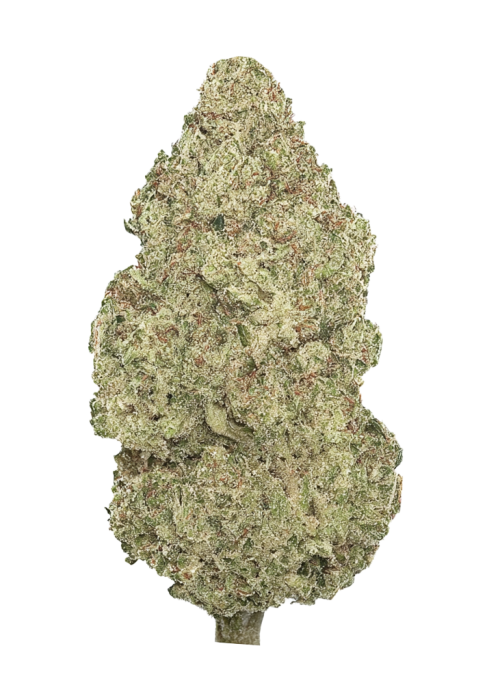 Lemon Alien Dawg