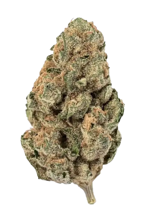 White Widow