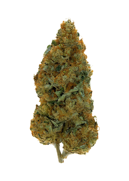 Grapefruit Diesel
