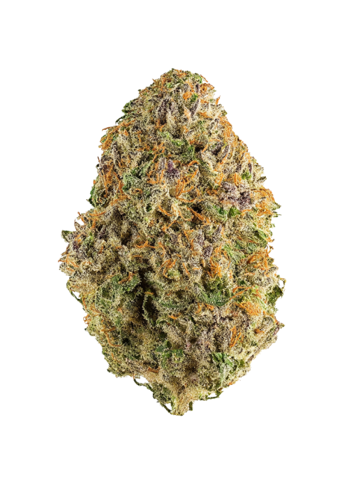 Galactic Glue