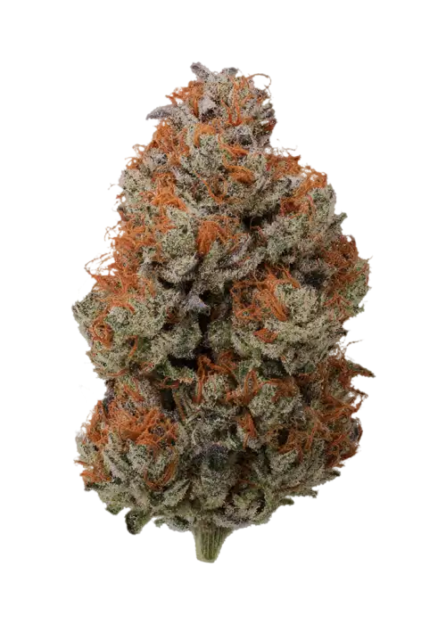 Electric Kool Aid