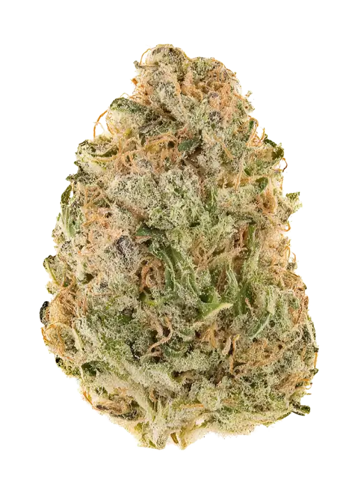Tropical Kush