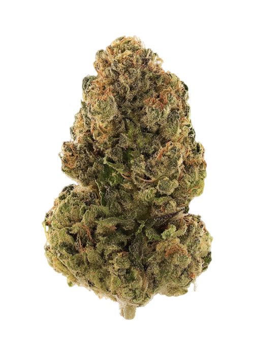 Triple Chocolate Chip