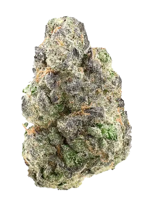 Stardawg Guava