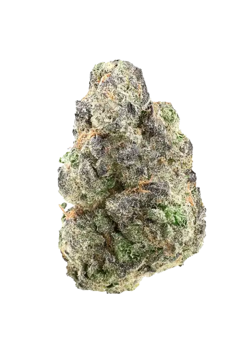 Stardawg Guava