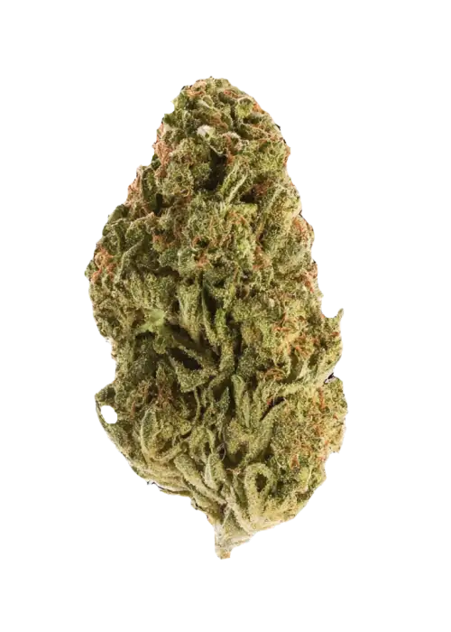 Blueberry Crumble