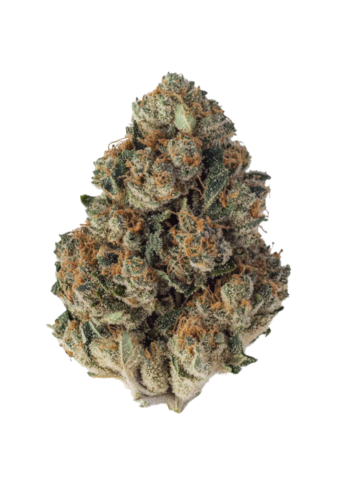 Khalifa Kush