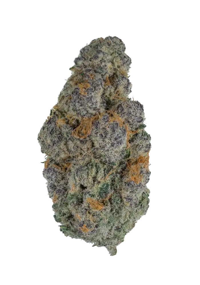 Biscotti Gelato