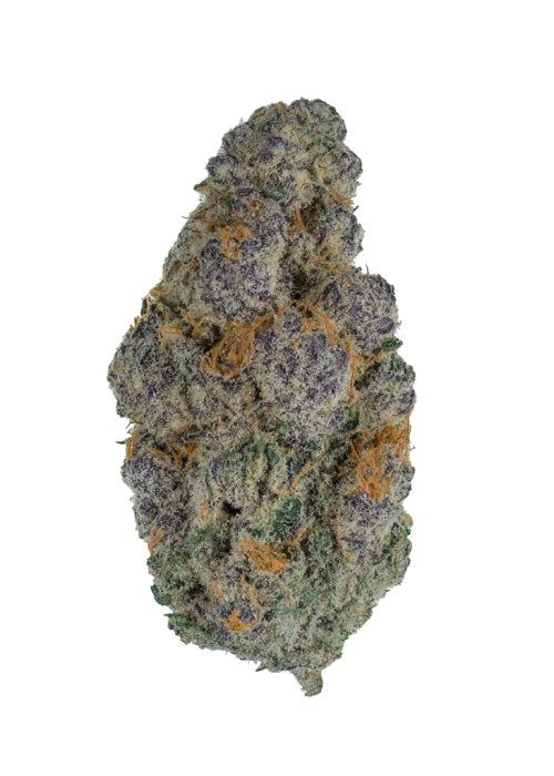 Biscotti Gelato