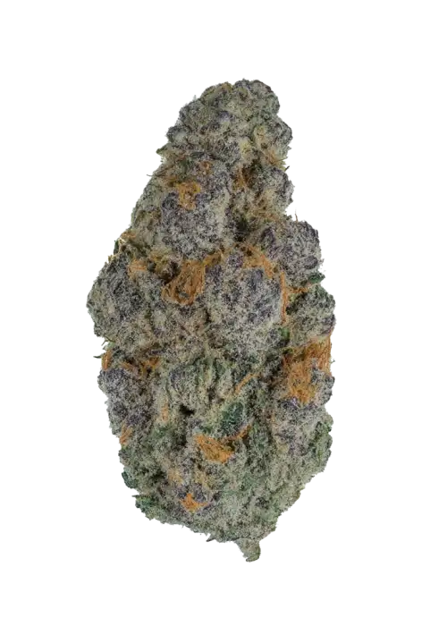 Biscotti Gelato