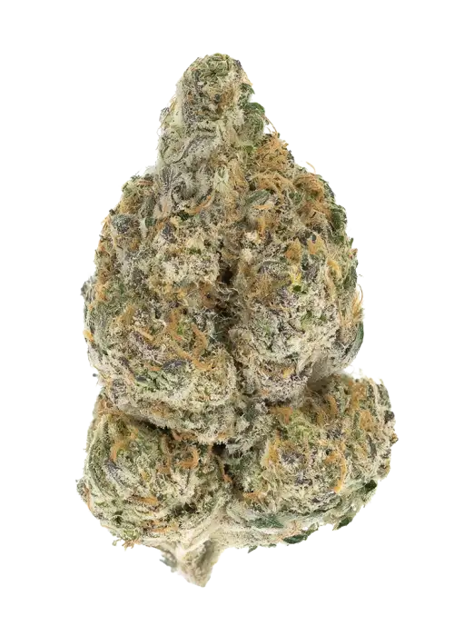 Gucci OG