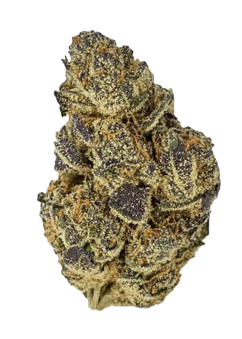 Bacio Gelato