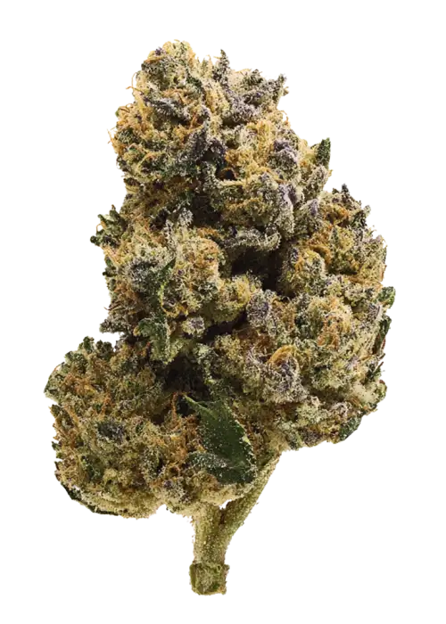 Bombsicle