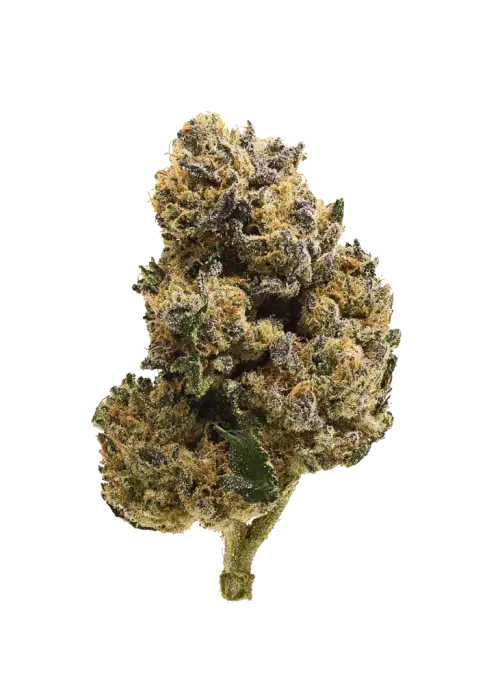 Bombsicle