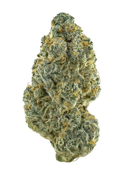 Bubble Kush