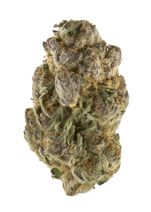 Cold Creek Kush
