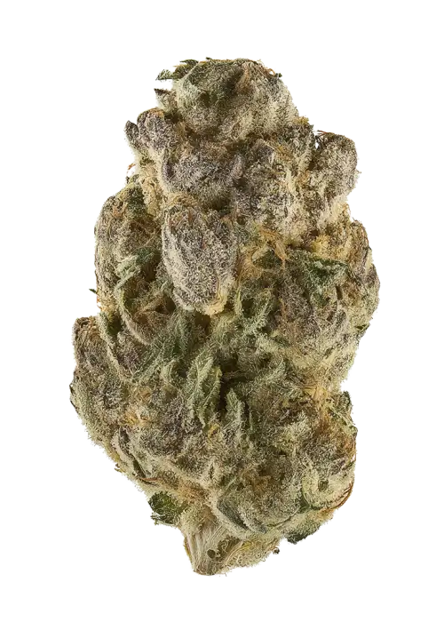 Cold Creek Kush