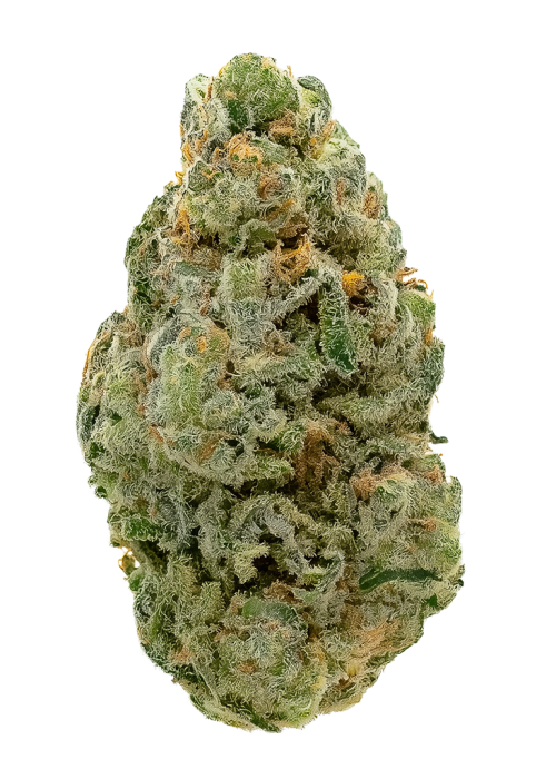 Dragon OG