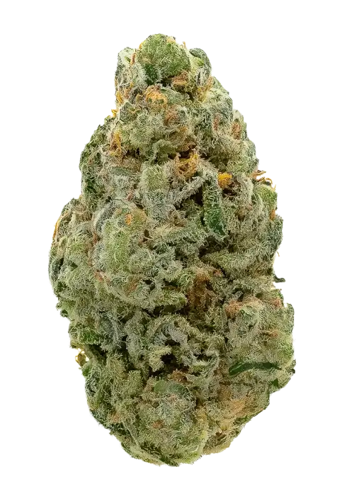 Dragon OG