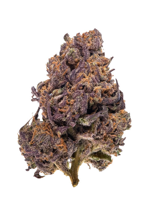 Monkey Berries