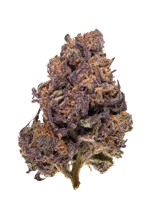 Monkey Berries