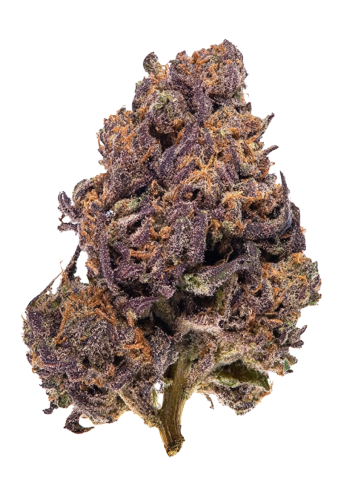 Monkey Berries