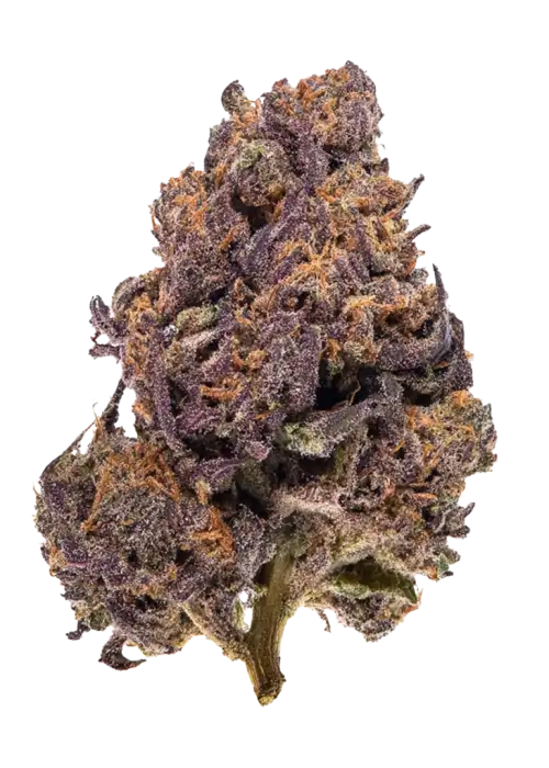 Monkey Berries