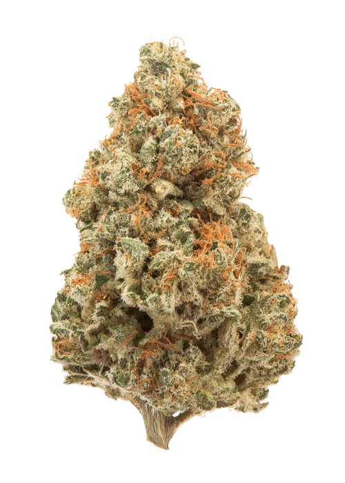 Northern Lights Haze