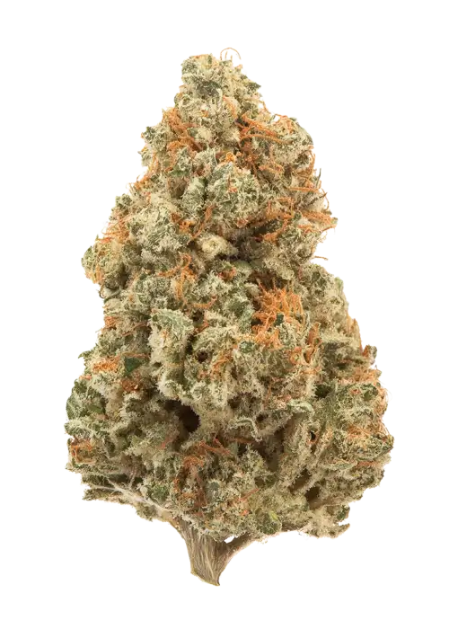 Northern Lights Haze