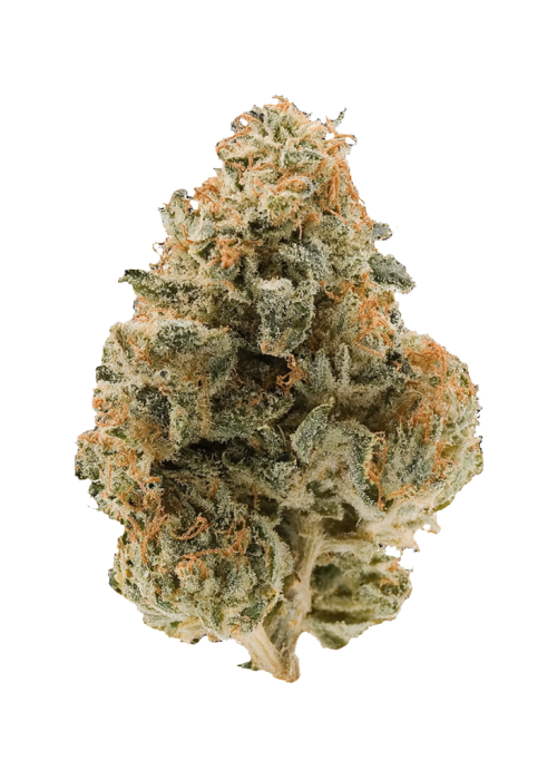 Kush Mountain