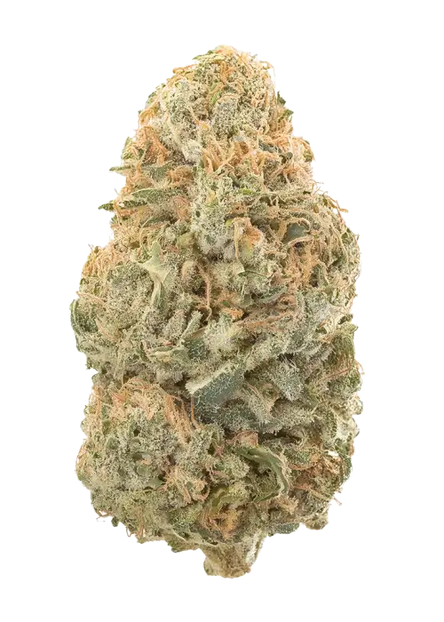 Black Cherry Cheesecake