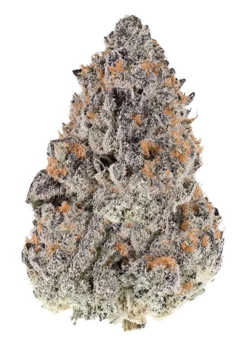 Blueberry Mac