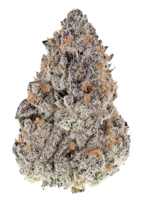 Blueberry Mac