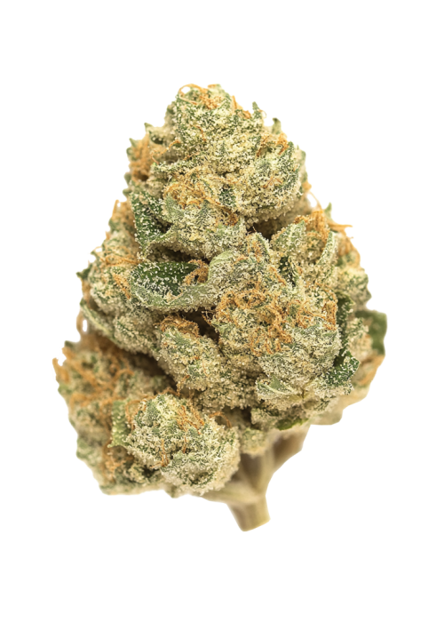 Mango Kush