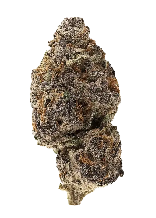 Cherry MAC