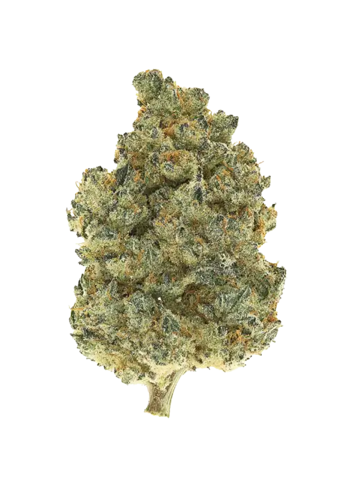 Lemon Splash