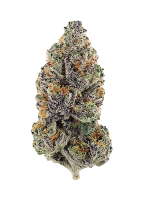 Divine Kush Breath
