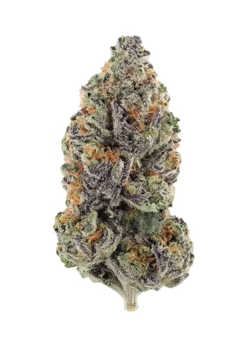 Divine Kush Breath