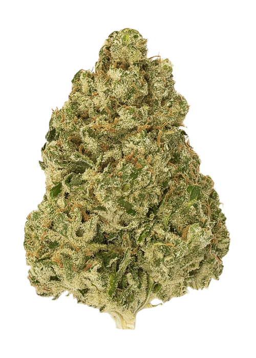 Passion Orange Guava