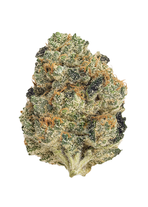 Grape Pie