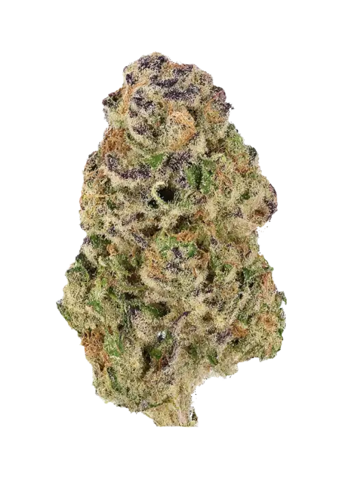 Sour Punch