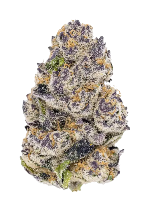 Mendo Breath