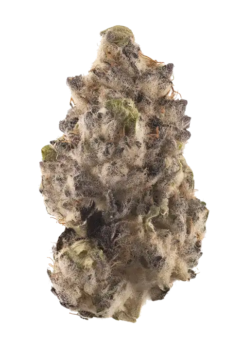 Spumoni
