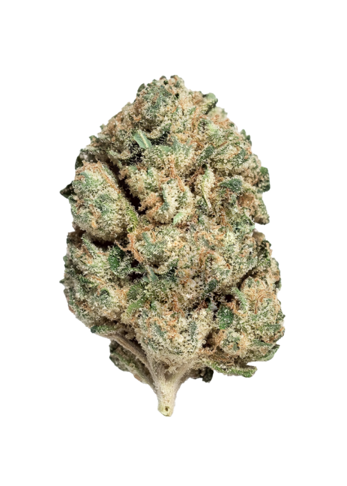 Cherry Gelato