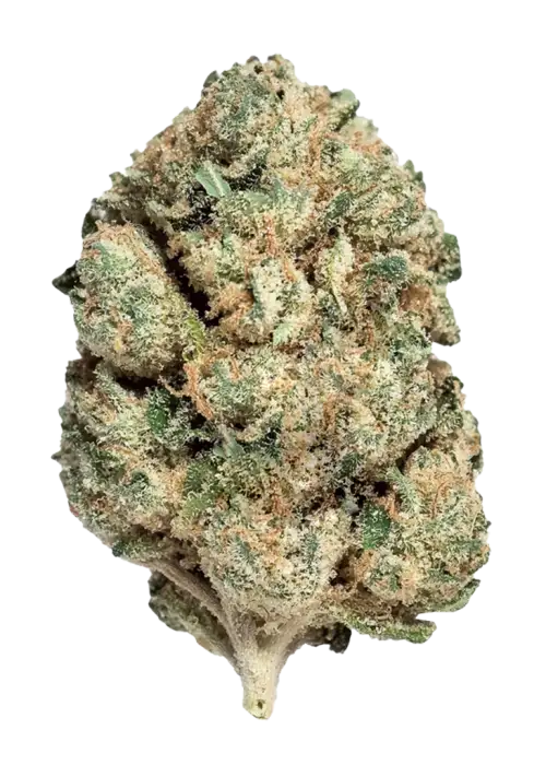 Cherry Gelato