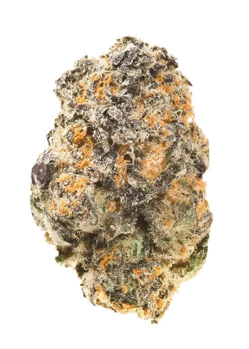 Gorilla Grapes