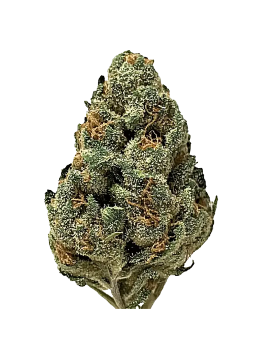 Purple Cheese