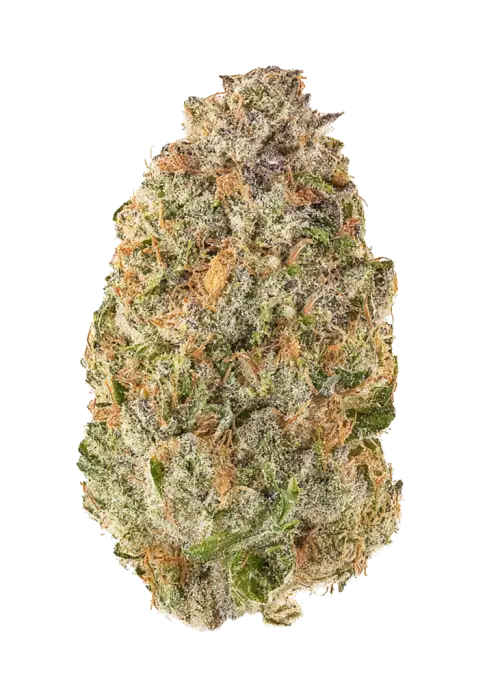 Russian Creme
